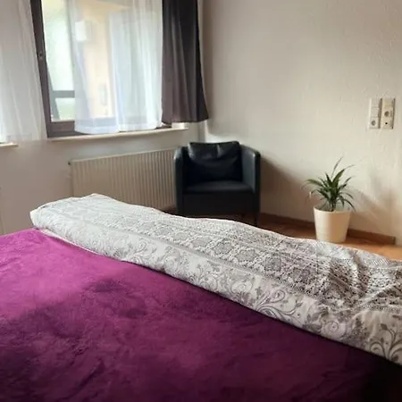 Entire Flat For Schwetzingen,mannheim & Hd Apartment *