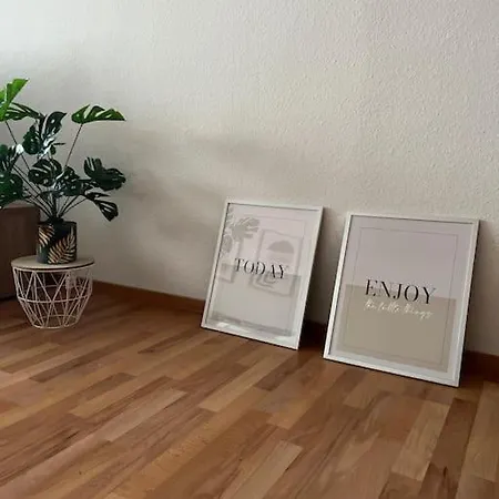 Apartment Entire Flat For Schwetzingen,mannheim & Hd *